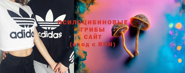СК Богородицк