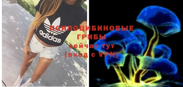 MDMA Premium VHQ Беломорск