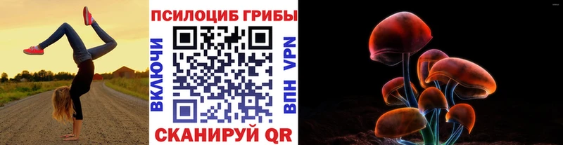 мориарти какой сайт  Томари  Псилоцибиновые грибы ЛСД  hydra вход 